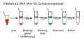 Bild 2 von CRYSTAL RNA Mini Kit