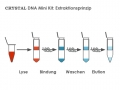 Bild 2 von CRYSTAL DNA Mini Kit  / (Anzahl Präparationen) 50